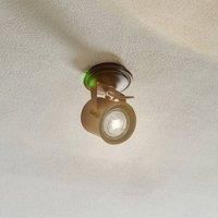 Argon Canico ceiling spotlight, one-bulb, black