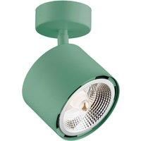 Argon Chloe downlight adjustable 1-bulb, green