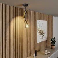 Euluna Leda 2 ceiling spotlight, 2-bulb, black and gold