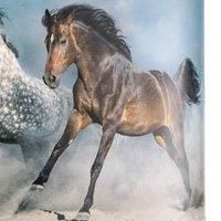 Duolla Horses print hanging light