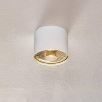 Euluna Bot ceiling spotlight, white, one-bulb