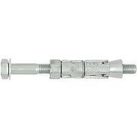 Rawlplug Rawlbolts M16 x 135mm 10 Pack (136HH)