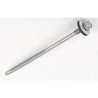 Rawlplug Flange Self-Drilling Screws 6.3mm x 125mm 100 Pack (750TK)