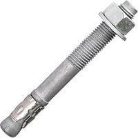 Rawlplug XPT III Throughbolt M8 x 80mm 100 Pack (821PE)