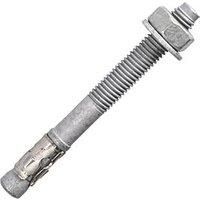 Rawlplug XPT III Throughbolt M10 x 130mm 50 Pack (312PE)