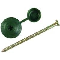 Onduline Profile Sheeting Nails 70mm Green  Pack of 100