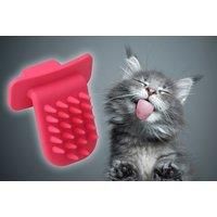 Cat-Tongue Brush Groomer - In 2 Colours - Red