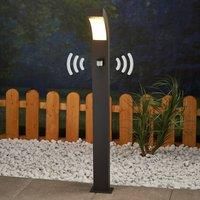 Lucande Lennik Motion Detector LED Path Lamp