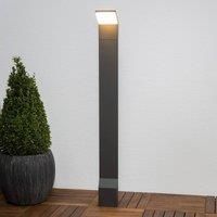 Lucande Nevio - LED path light, 100 cm