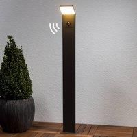 LED path light Nevio with motion detector