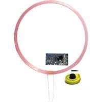 Upgrade 134.2K Animal Tag Reader Module TTL Output AGV RFID FDX-B FDXB ISO11784 Long distance