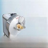 Ginger Slicer Vegetable Cutter Strips Cutting Machine Cucumber Flake Fruit Banana Slice Turnip Carrot Industrial