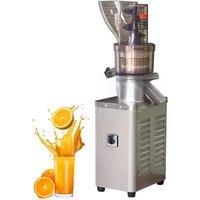 Commercial Juicer, Small Business Fresh Fruit Juicer, Apple Juicer