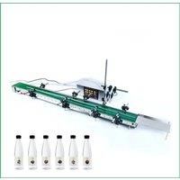 Double Head Automatic Magnetic Pump Liquid Filling Machine Bottled Water Essential Oil Perfume