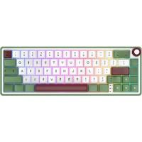RK R65 Royal Kludge Wired Mechanical Keyboard 66 Keys 65% Gasket RGB Backlit Hotswappable Gaming