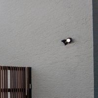LUTEC Shrimp LED outdoor spotlight, aluminium sensor