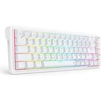 Redragon K709 65% Wired Gasket RGB Gaming Keyboard, 68 Keys Hot-Swap Compact Mechanical Keyboard w/Free-Mod Socket, 3-Layer Noise Dampening & Dedicated Arrow Keys, Quiet Custom Linear Switch