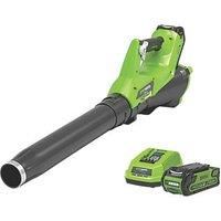 Greenworks Tools 40 V Axial Cordless Leaf Blower G40AB (Li-Ion 40V 177 km/h Air Speed Powerful Axial Blower with Electronic Speed Control Including Battery and Charger)