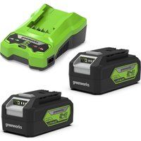 Greenworks 24V Two 4Ah Batteries G24B4 & Dual Slot Charger G24X2C (Li-Ion 24V 4Ah 48W Output 4A Voltage 60 Minutes Charging Time with 4Ah Battery for All Tools of the 24V Greenworks Series)