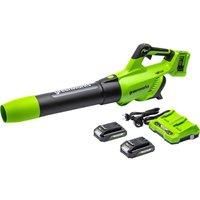 Greenworks 48v Cordless Axial Blower with 2 x 24v 2Ah Batteries and Charger