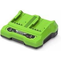 Greenworks 24 V Double Slot Battery Universal Charger G24X2C (Li-Ion 24 V 48 W Output 4A Voltage 60 Minutes Charging Time with 4Ah Battery Suitable for All Batteries of The 24 V Greenworks Series)