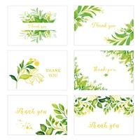 Masper Thank You Cards, Designs Foil Thank You 12/36 6 Gold Greenery