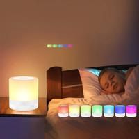 Table Lamp,Touch Dimmable Night Light,Portable USB Rechargeable Color Changing LED Lights for