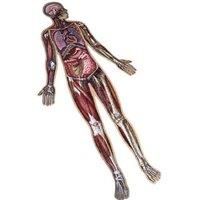 100 Piece Human Body Floor Puzzle - Educational STEM Toy for Ages 3+