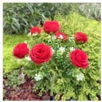 Solar LED Rose Garden Lights - Dual-Colour, Outdoor, Weatherproof