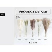 Natural Dried Pampas Grass Bouquet - 6 Options