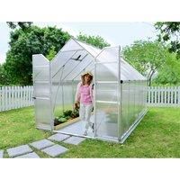 Palram 8 x 12ft Essence Silver Greenhouse with Polycarbonate Panels and Twinwall on Roof - Clear