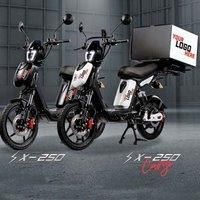 Eskuta SX-250 Cargo Electric Bike - Matte Orange, Orange