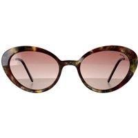 Oval Cloud Brown Sage Tortoise Brown Polarized B2108