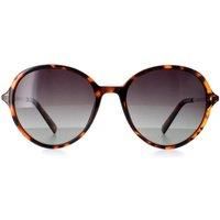 Round Demi Tortoise Brown Gold Grey Polarized B2135