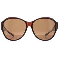 Smarty Sunglasses X2115 B Transparent Brown EF Brown