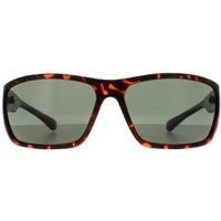 Smarty Sunglasses X2135 B Demi Brown Tortoise Green