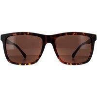 Smarty Sunglasses SB2201 B Tortoise Brown Brown