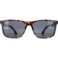 Smarty Sunglasses SB2308 B Demi Black Tortoise Brown Grey