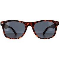 Smarty Sunglasses SB2309 B Satin Dark Tortoise Brown Grey