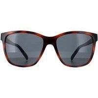 Smarty Sunglasses SB2315 C Tortoise Brown Blue  Grey Blue