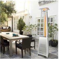 42,000 Btu Outdoor Patio Gas Heater With Wheels And Regulator