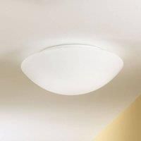 Ceiling and wall light PANDORA 30 cm