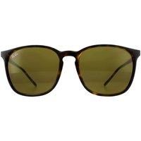 Ray-ban  RB4387 Square Sunglasses  men's  in Brown