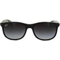 Ray-Ban Sunglasses RB4202 Black, 55