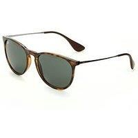 Ray-Ban Sunglasses Erika 4171 710/71 Tortoise & Gunmetal Green