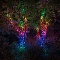 Twinkly Smart Decorations Custom LED String Lights – App Controlled Light Strings 100 Multicolor RGB LED – IoT & Razer Chroma Enabled – Customizable Lighting – Create or Download Light Displays