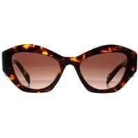 PRADA PR 07YS VAU6S1 Honey Havana Brown Gradient 53 mm Women's Sunglasses