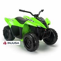 Electric Quad Injusa Kawasaki Grey 90,5 x 56 x 61,3 cm