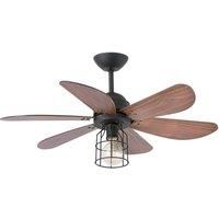 Light with a cage design- ceiling fan Chicago