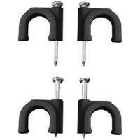 EDP Black Staple Hose Pipe 2 x 2.5 No 8 (Box of 100uni)
